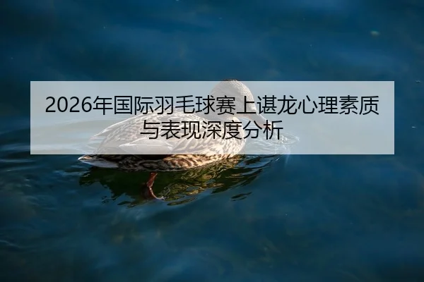 nian-guo-ji-yu-mao-qiu-sai-shang-chen-long-xin-li-su-zhi-yu-biao-xian-shen-du-fen-xi-2-121.jpg