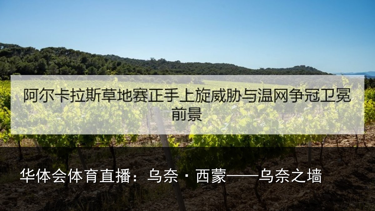 华体会体育直播：乌奈·西蒙——乌奈之墙